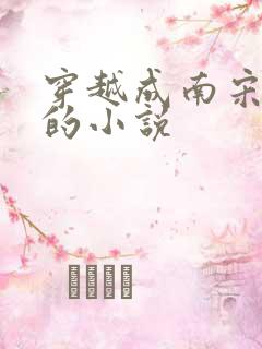穿越成南宋赵m的小说