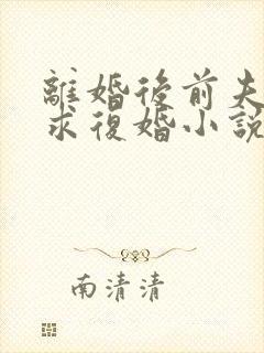 离婚后前夫哭着求复婚小说完整版大结局