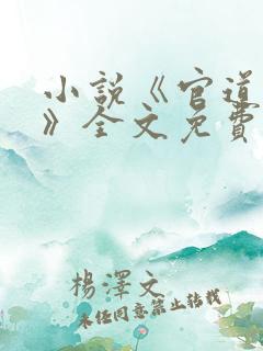 小说《官道红颜》全文免费阅读