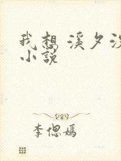 我想 溪夕汐 小说