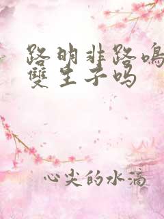 路明非路鸣泽是双生子吗