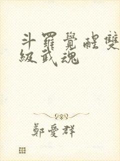 斗罗觉醒双生神级武魂