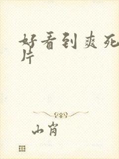 好看到爽死的毛片