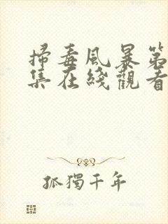 扫毒风暴第33集在线观看