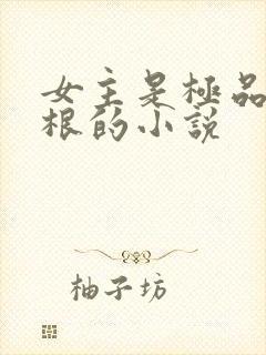 女主是极品雷灵根的小说