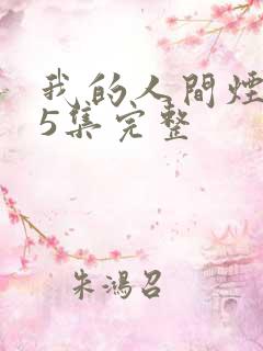 我的人间烟火45集完整
