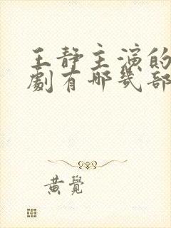 王静主演的电视剧有哪几部