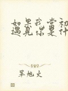 如果我当初没有遇见你是什么歌