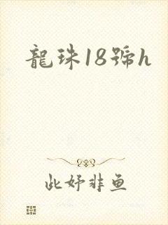 龙珠18号h