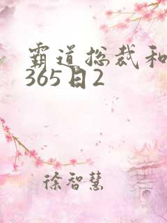 霸道总裁和我的365日2