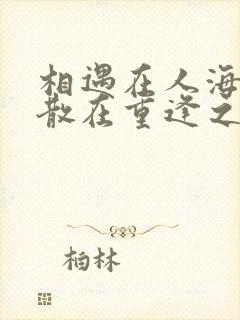 相遇在人海,聚散在重逢之外