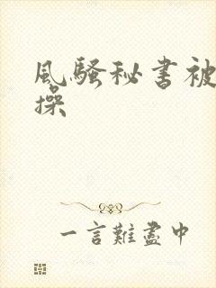 风骚秘书被老板操