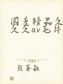 国产精品久久久久久av毛片