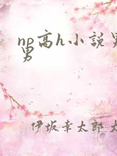 np高h小说男男
