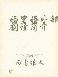 婚里婚外那些事剧情简介