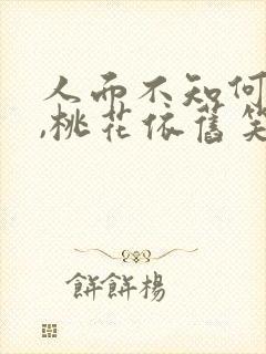 人面不知何处去,桃花依旧笑春风赏析