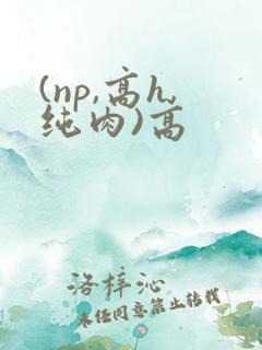 (np,高h,纯肉)高