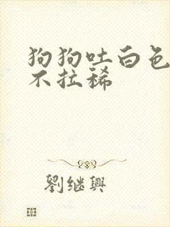 狗狗吐白色粘液不拉稀