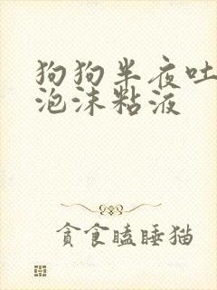 狗狗半夜吐白色泡沫粘液