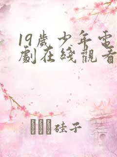 19岁少年电视剧在线观看免费