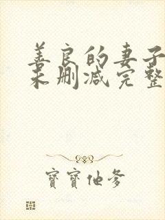 善良的妻子电影未删减完整版在线看