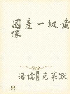 国产一级黄色录像