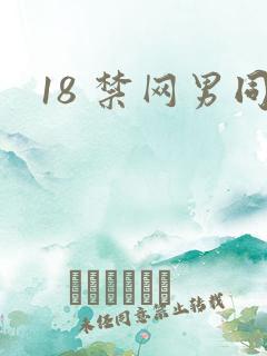 18 禁网男同