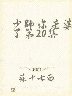 少帅你老婆又跑了第20集