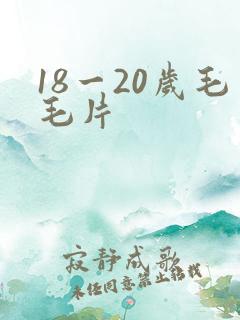18一20岁毛毛片