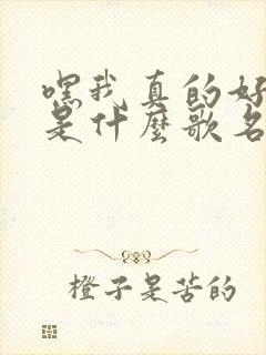 嘿我真的好想你是什么歌名