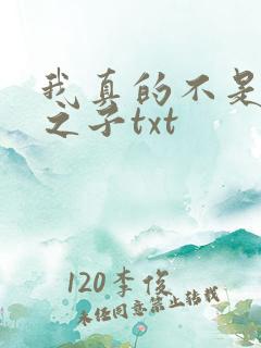 我真的不是气运之子txt