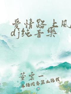 爱情路上风雨多dj纯音乐