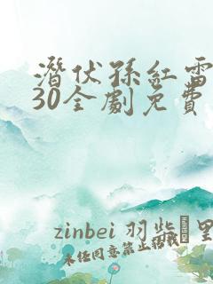 潜伏孙红雷潜伏30全剧免费