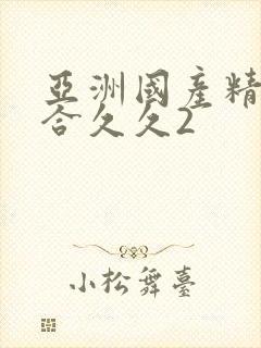 亚洲国产精品综合久久2