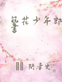簪花少年郎电子书