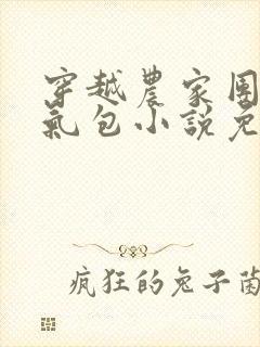 穿越农家团宠福气包小说免费阅读