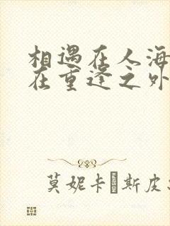 相遇在人海聚散在重逢之外的寓意