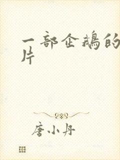 一部企鹅的动画片