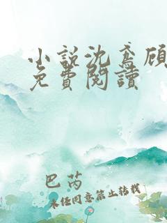 小说沈鸢顾烨风免费阅读