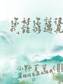 你好你说很高兴我能够遇见你是什么歌