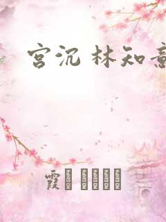 宫沉 林知意