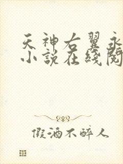 天神右翼永恒版小说在线阅读