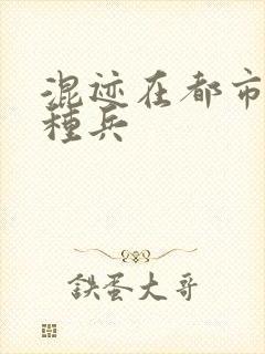 混迹在都市的特种兵