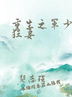 重生之军少枭宠狂妻
