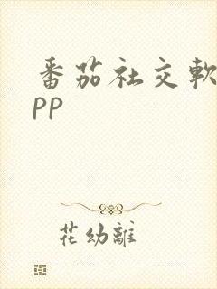 番茄社交软件app