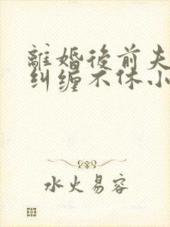 离婚后前夫老公纠缠不休小说