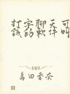 打字聊天可以赚钱的软件叫什么