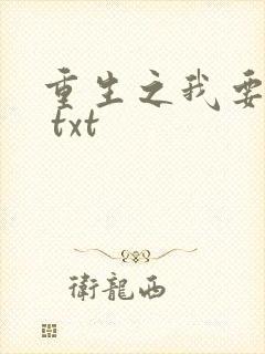 重生之我要冲浪 txt