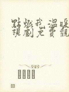 点燃我温暖你电视剧免费观看高清版