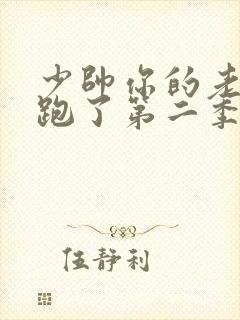 少帅你的老婆又跑了第二季